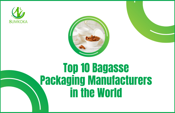 https://jqrorwxhllooln5p.leadongcdn.com/cloud/jqBpoKmpljSRjkkiniomiq/Top-10-Bagasse-Packaging-Manufacturers-in-the-World.jpg