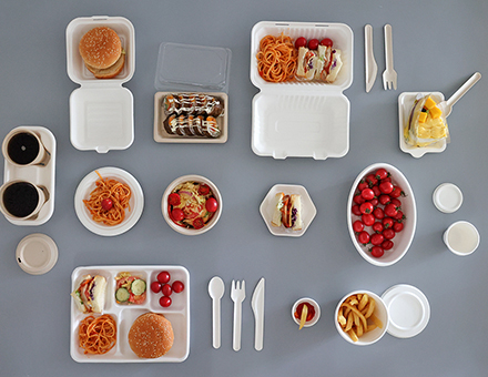 Sugarcane Bagasse Tableware