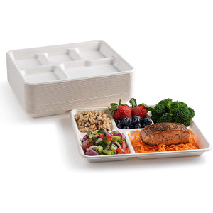 Biodegradable 5 Compartments Meal Disposable Sugarcane Bagasse