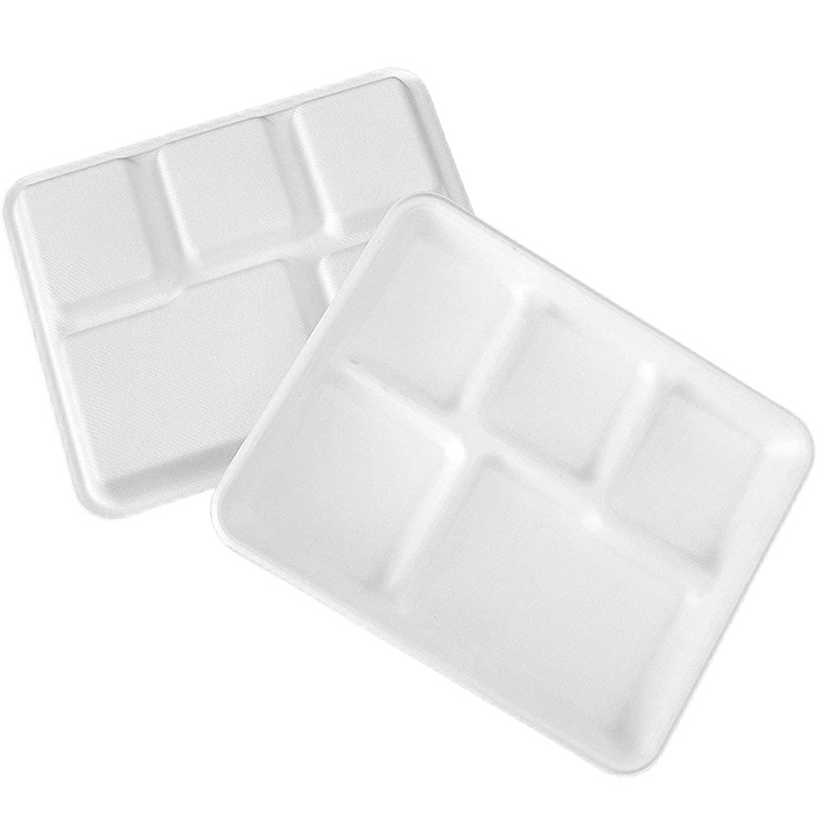 5 Compartment 10" Sugarcane Disposable Food Tray