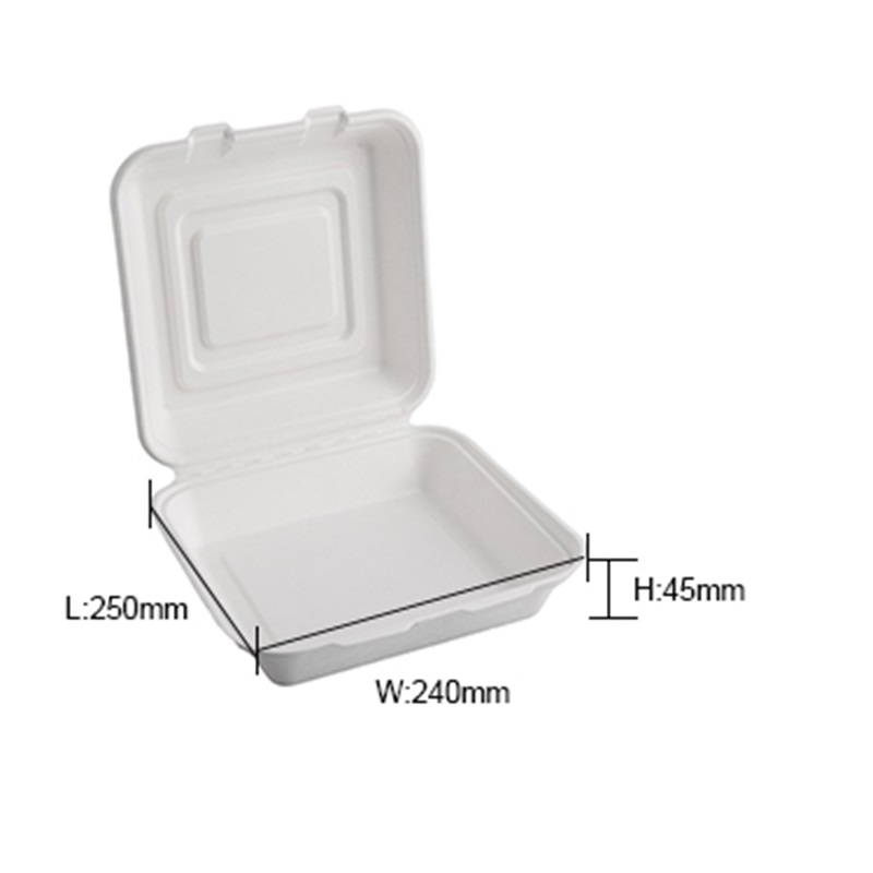 Wholesale Ecofriendly 10 Inch Bagasse Clamshell Container from China