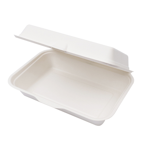Biodegradable Compostable Food to-Go Containers Disposable Sugarcane  Bagasse Pulp Take Away Food Lunch Box - China Compostable Food Packaging  Lid and Bagasse Container Lid price