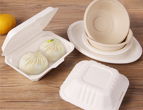 Cornstarch 900ml Biodegradable Microwave Disposable Plastic Takeaway Food  Container - China Food Container and Lunch Box price