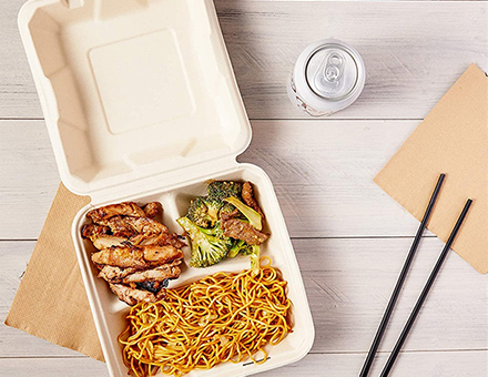 Bagasse Food Container