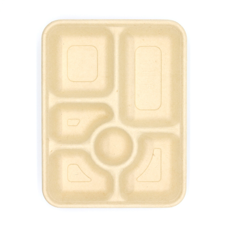 Eco-Friendly Sugarcane Fiber Disposable Tray with 6 Compartment