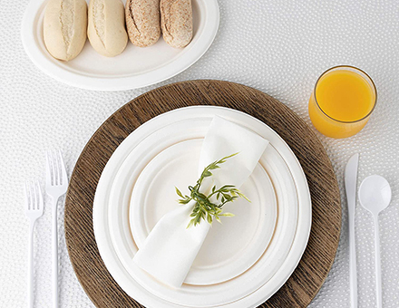 Sugarcane Bagasse Plates